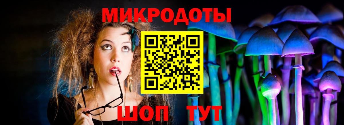 Галлюциногенные грибы прущие грибы  Вход с VPN  Псилоцибиновые грибы мухоморы  Клин 
